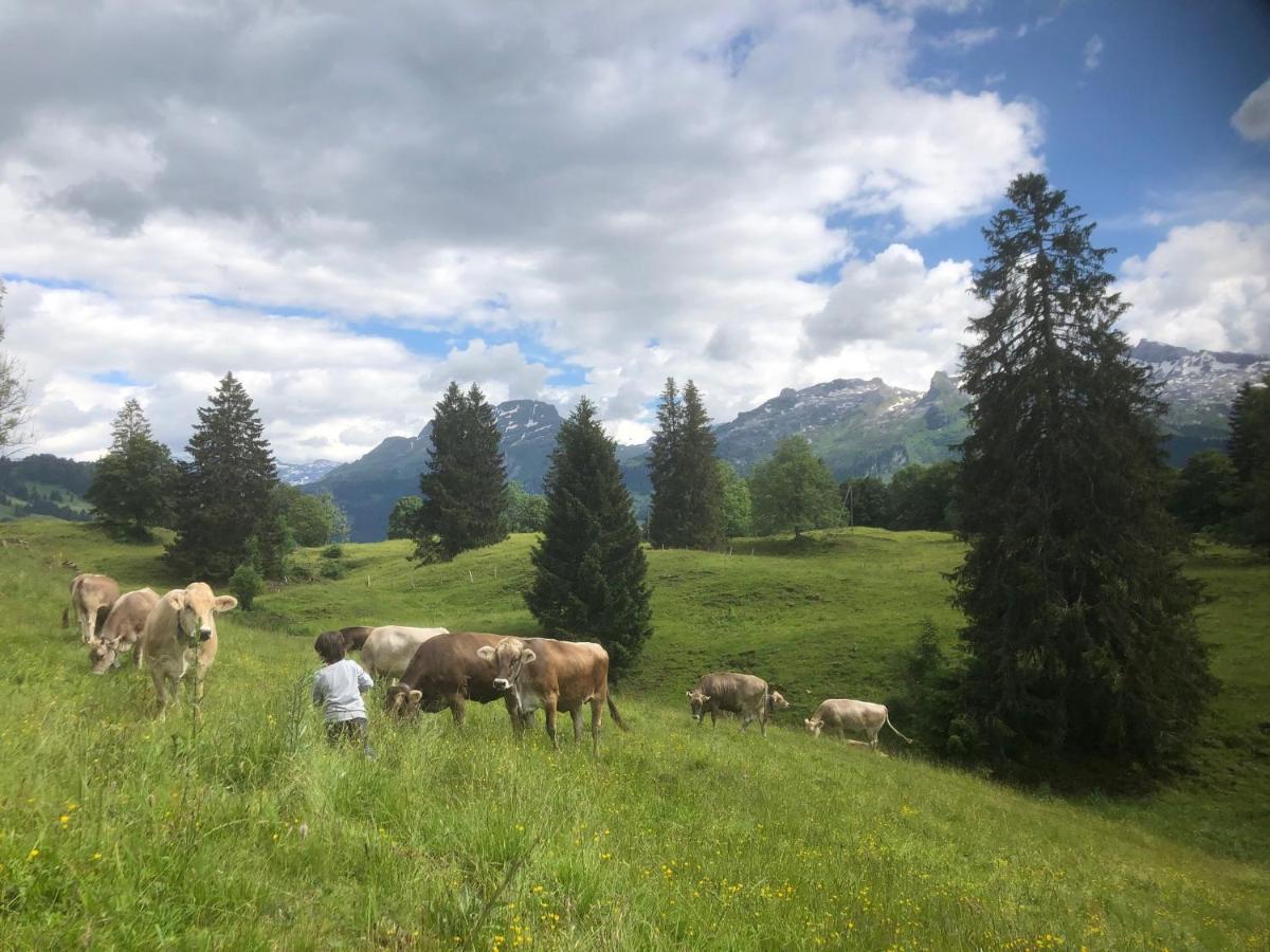 Ferienwohnungen Mit 4 Betten In Gersau Direkt Am Vierwaldstaettersee Buitenkant foto