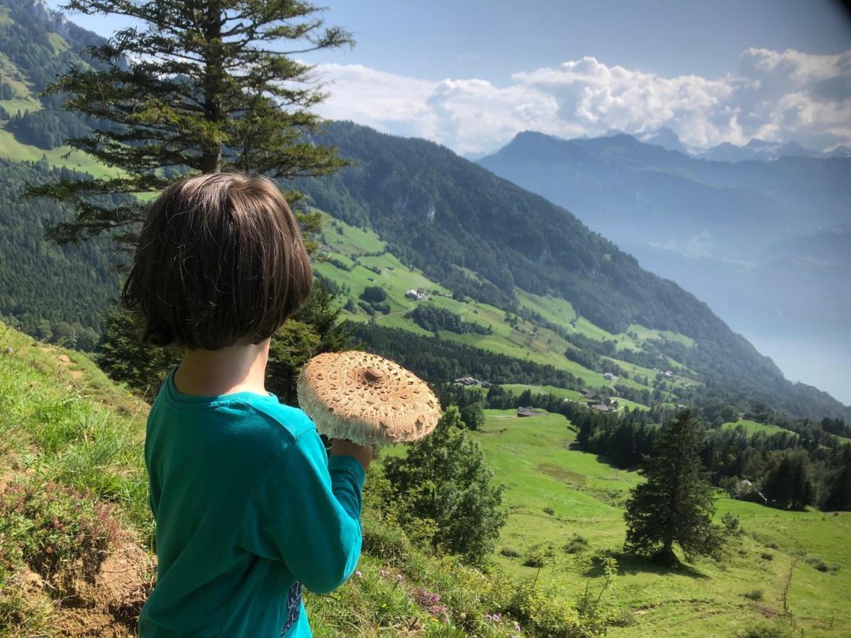 Ferienwohnungen Mit 4 Betten In Gersau Direkt Am Vierwaldstaettersee Buitenkant foto
